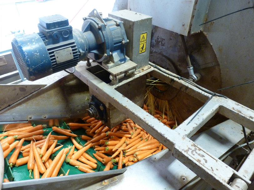 Fiabilité accrue des opérations de lavage de légumes grâce aux paliers Life-Lube® de NSK